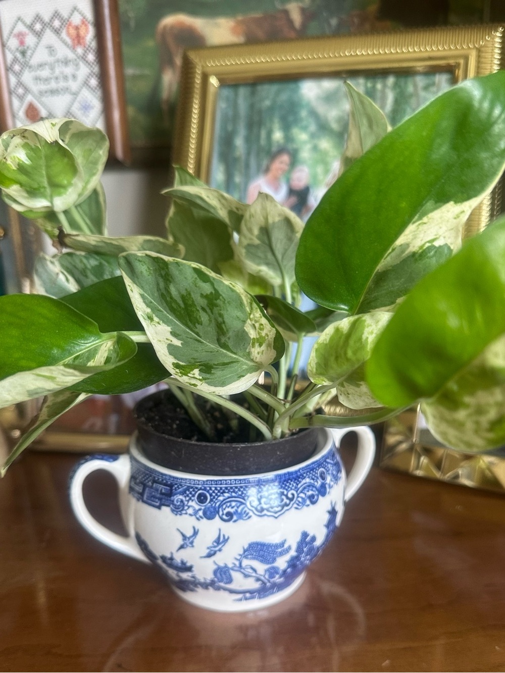 Johnson Brothers England Blue Willow Container